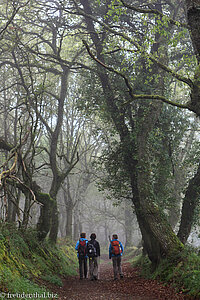 Gestalten im Nebel - Jakobsweg