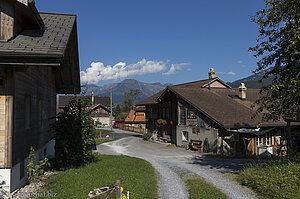 Wanderweg durch Geissholz