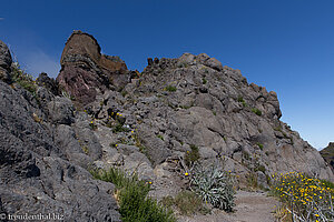 beim Pico das Torres