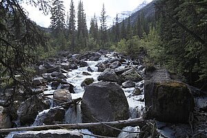 Louise Creek oberhalb vom Lake Louise