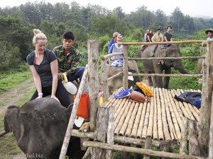 Podest beim Elefantenbad am Nam Khan River