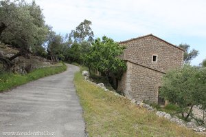 Wanderweg auf einer Zufahrtsstraße bei Llucalcari
