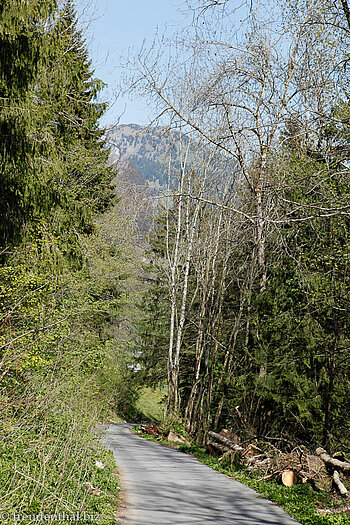 Wanderweg von Durschlegi nach Amden