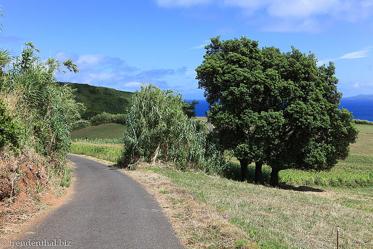 Wanderung nach Ribeirinha