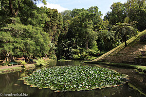 Teich im Parque Terra Nostra in Furnas