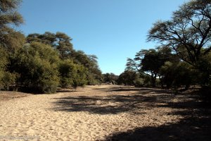 ausgetrocknetes Flussbett in Namibia