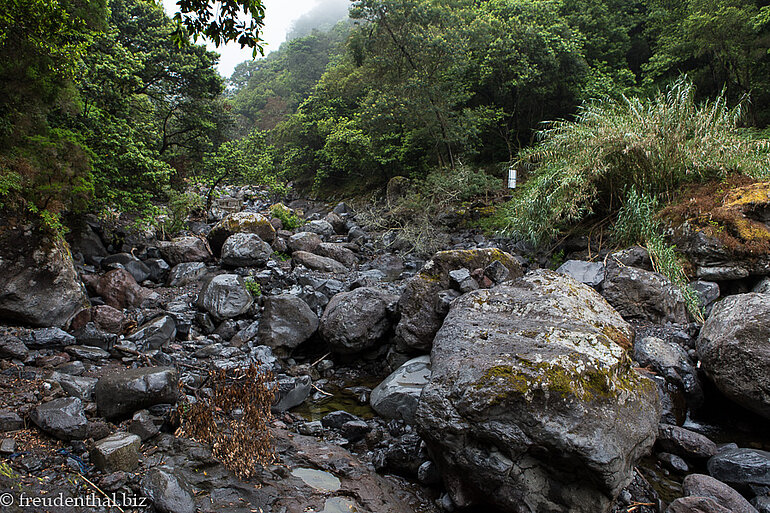 Ursprung der Levada do Castelejo