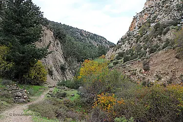 Das landseitige Ende der Avakas-Schlucht