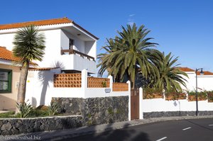 Hübsche Häuser und Dattelpalmen bei Los Cancajos