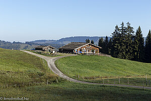 Blick zurück zur Alpe Gschwenderberg