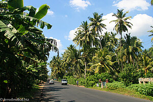 Küstenstraße bei Koggala