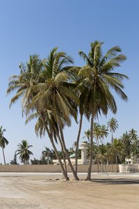 Palmen und Moschee am Strand von Salalah