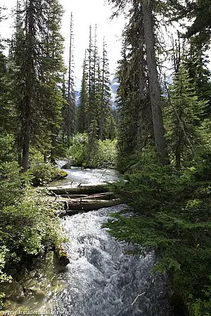 Bach knapp unterhalb des Mittleren Joffre Lakes