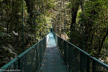 Hängebrücke im Selvatura Reservat bei Santa Helena