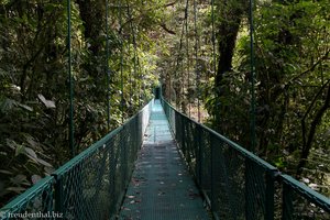 die erste von acht Hängebrücken im Selvatura Park