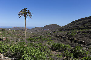 Durch das Valle de Malpaso zurück nach Haría