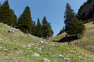 nahe der Alp Ober Furgglen