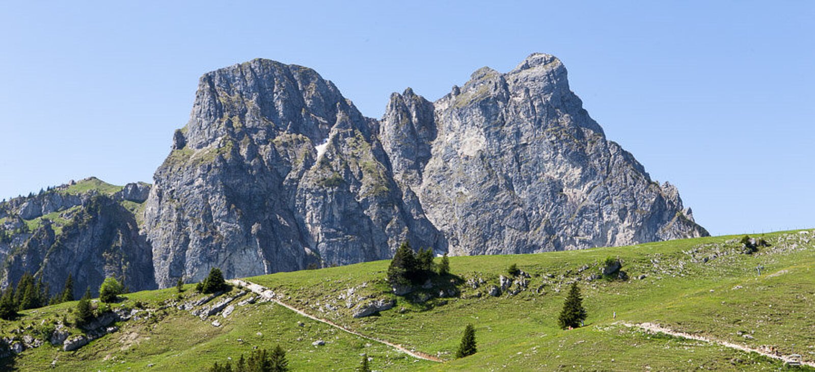 Aussicht von der Breitenbergbahn über Bergwiesen zum Felsmassiv Aggenstein