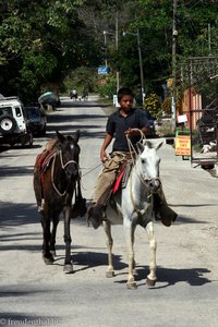 Junge mit Pferden bei der Playa Samara