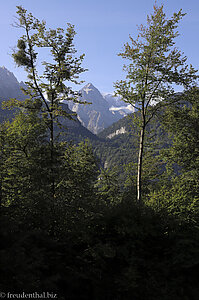 Aussicht zu den Wetterhörner bei Haselholz