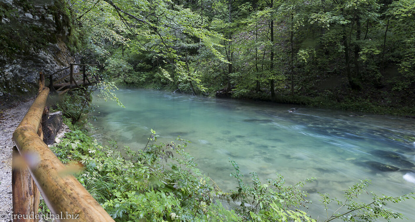 Smaragdgrüne Wasser in der Blejski Vintgar