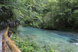 Smaragdgrüne Wasser in der Blejski Vintgar.
