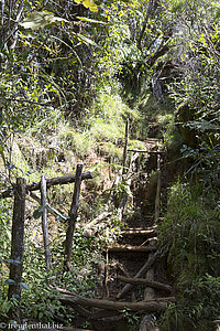 kaputte Leitern auf dem Weg zur Cassé de Takamaka