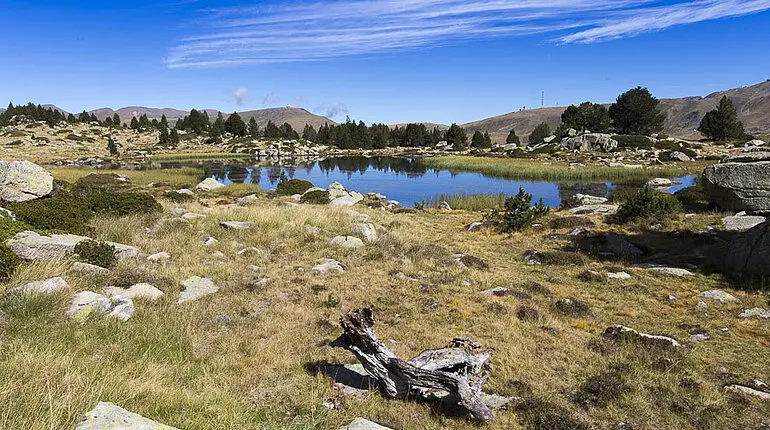 Blick über den Estany Forcat