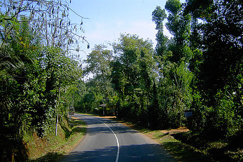 Straße nach Matale