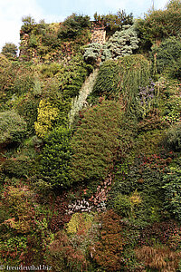 Vertikale Garten beim CaixaForum