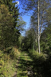 schöner Wanderweg am Bach entlang bei Ratschings