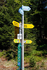 Wandermöglichkeiten im Chräzerenwald