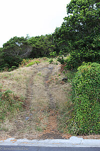 Wanderung von Capelo auf den Cabevo Verde