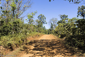 auf dem Bolaven-Plateau in Laos