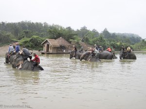 Elefantenbad am Nam Khan River in Laos