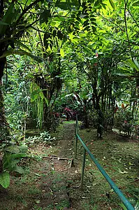 Fußweg zur Cascada de Ojochal