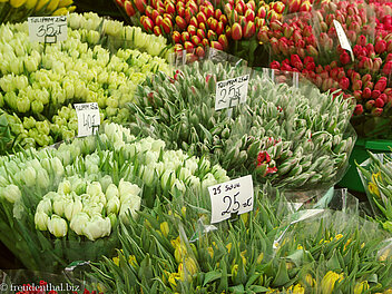 Tulpen an einem Blumenstand bei der Hala Mirowska in Warschau