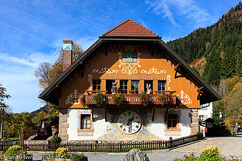 Wanderungen im Schwarzwald