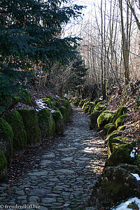 Hohle Gasse von Wilhelm Tell