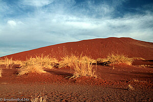 Rotgold leuchtet der Sand in der aufgehenden Sonne beim Sossusvlei