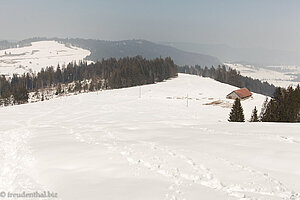 Alp Morgartenberg