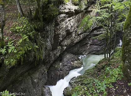 Wanderung durch die Mostnica Schlucht