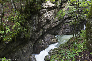 Mostnica Schlucht | Wanderung nahe dem Bohinjer See