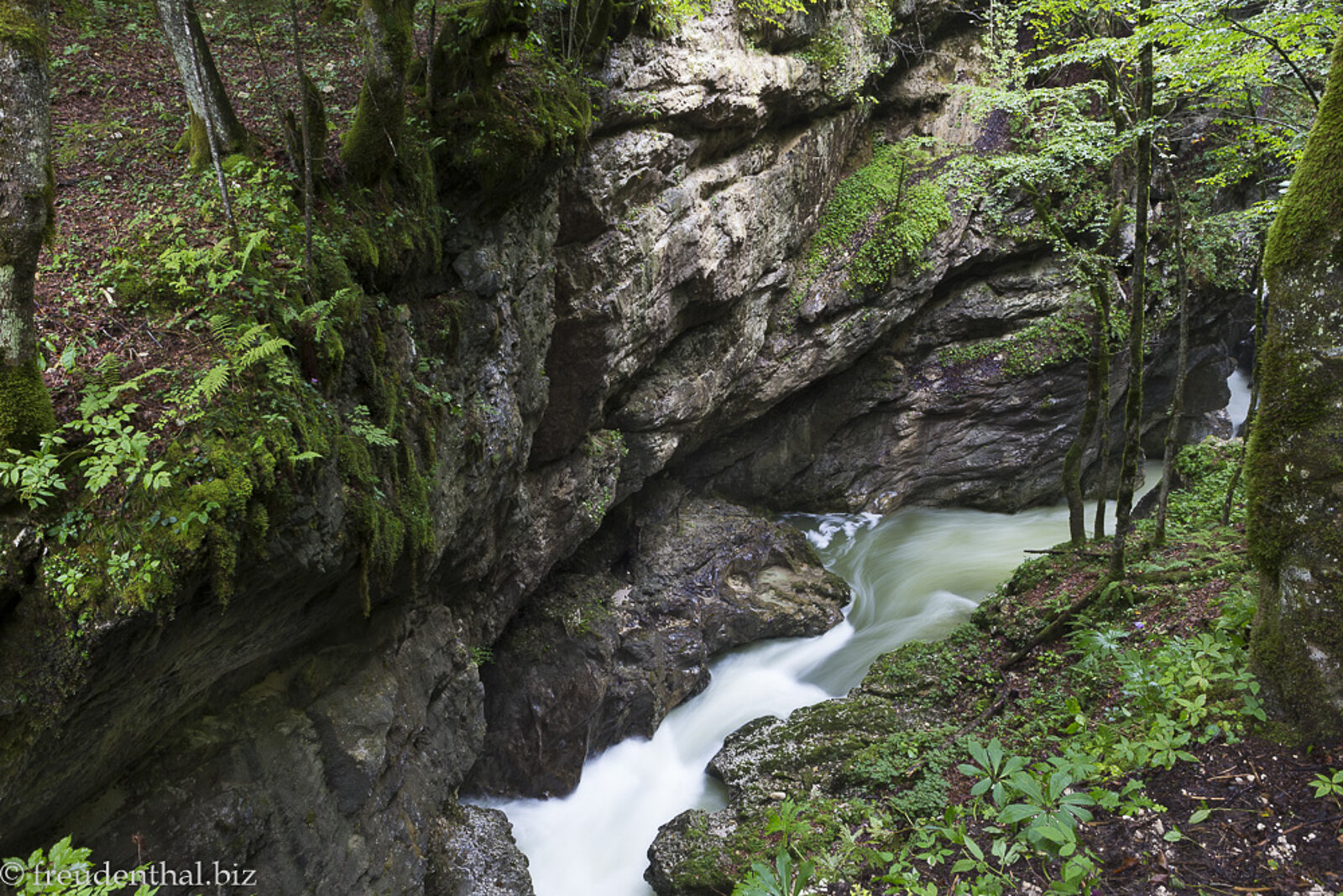 Spektakulärer Blick in die felsige Mostnica Schlucht in den Julischen Alpen Sloweniens