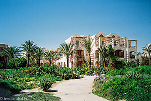 Eine grüne Oase in der Wüste - das Iberotel Makadi Beach.