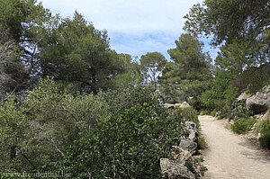 Wanderweg von Banyalbufar nach Port des Canonge