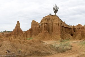 Spaziergang durch das Labyrinth der Tatacoa-Wüste