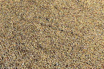 frischer Kaffee beim Bolaven-Plateau