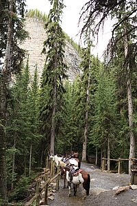 Pferdestation zwischen Lake Louise und Lake Agnes