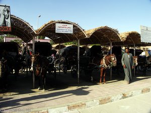 Pferdestation in Edfu
